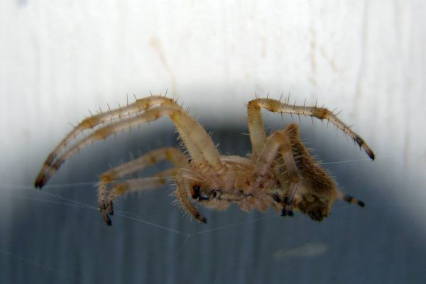 11047912 10207259722554296 255037548595737400 O 10207259722554296