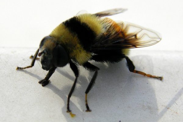 11145220 10207259854157586 4920231722218918887 O 10207259854157586