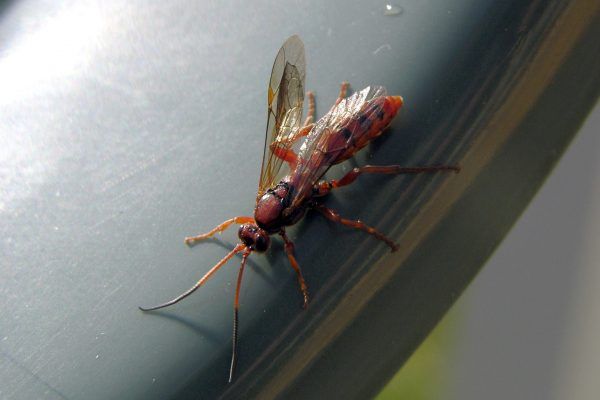 11146656 10207259865677874 4239572787741860702 O 10207259865677874