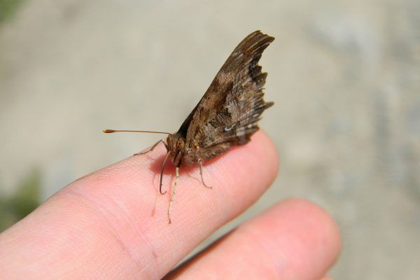 11222552 10207259794076084 3424770036387338109 O 10207259794076084