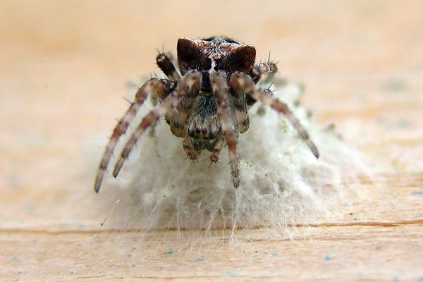 11224843 10207259837597172 6629523207779046030 O 10207259837597172