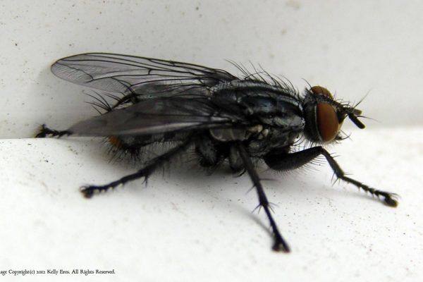 11850451 10207259718954206 8807267949176882010 O 10207259718954206