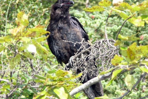 11856410 10207259869797977 5357627212128887661 O 10207259869797977