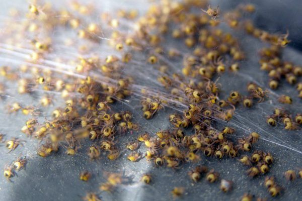 11864772 10207259719914230 2974582718628356403 O 10207259719914230