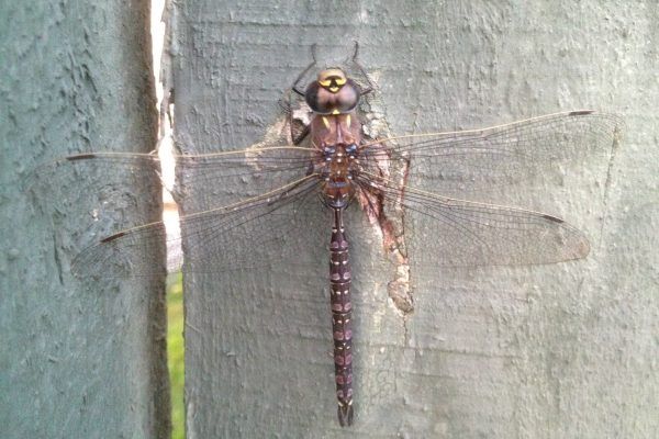 11865004 10207259723794327 9206511823755294728 O 10207259723794327