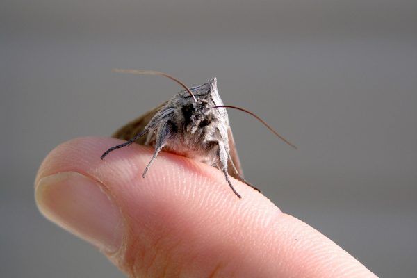 11865298 10207259773795577 8472136743302621958 O 10207259773795577