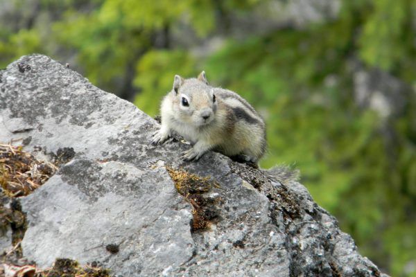 11874984 10207259800196237 197289108006657360 O 10207259800196237