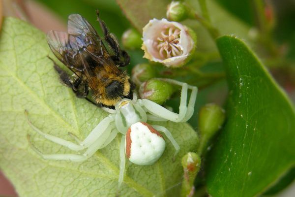 11878977 10207259815196612 4382293725496536601 O 10207259815196612