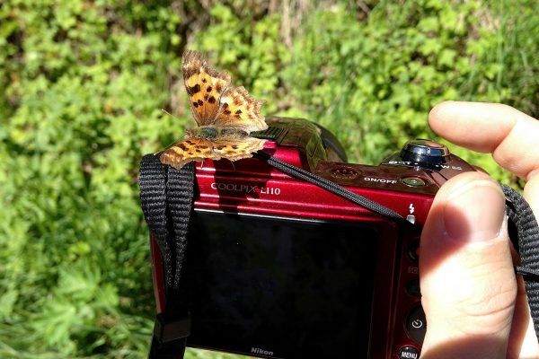 11882357 10207259780555746 5763120791791327171 O 10207259780555746