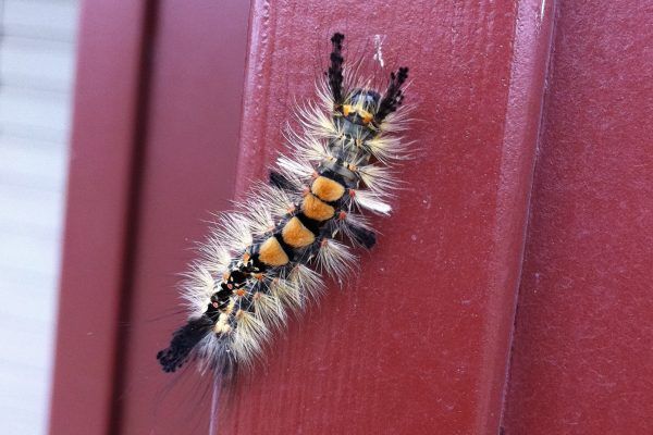 11884725 10207259863557821 9029480149380278926 O 10207259863557821