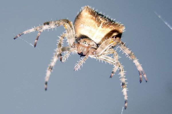 11885040 10207259838477194 1088497011568664008 O 10207259838477194