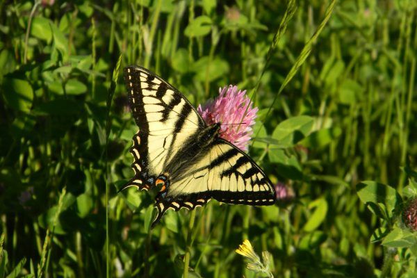 11887744 10207259791316015 3427860165703533897 O 10207259791316015