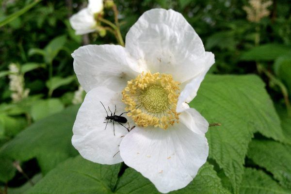 11891419 10207259779715725 242111824602317819 O 10207259779715725