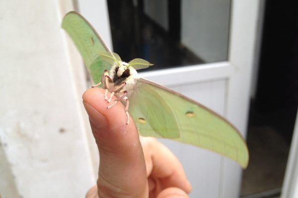 11893765 10207259882038283 4259964240487500668 O 10207259882038283