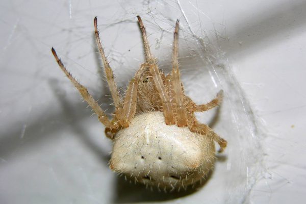 11893904 10207259861117760 6440284717493809512 O 10207259861117760