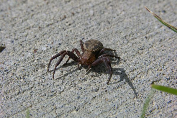 11894552 10207259720754251 333548246588810604 O 10207259720754251