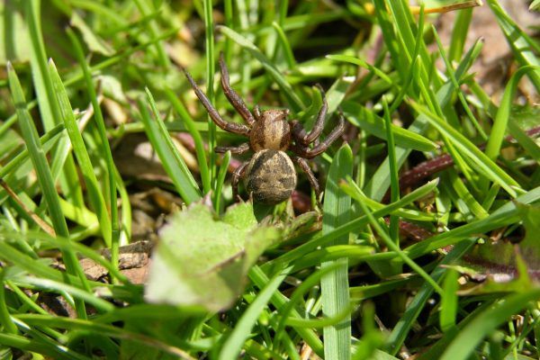 11896455 10207259720914255 8269797410356374624 O 10207259720914255