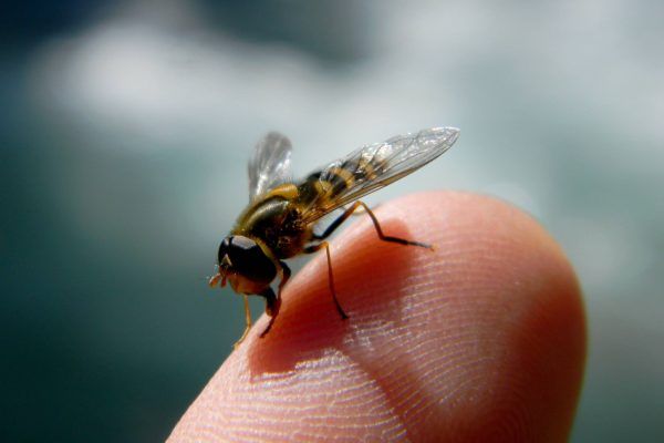 11896476 10207259791596022 8166184520206832040 O 10207259791596022