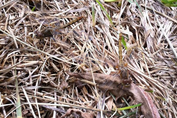 11930986 10207259863597822 5090907563483069435 O 10207259863597822