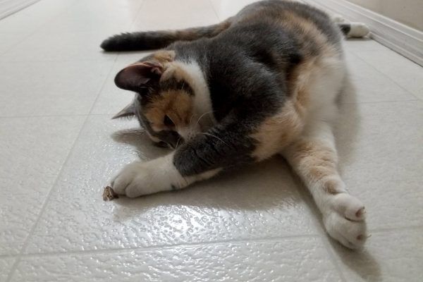 39742525 10216547402660494 5039282070380085248 N 10216547402500490