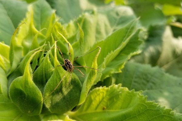 39804969 10216547402420488 2565755776924647424 N 10216547402380487