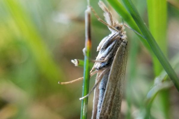 67078692 10219057064600474 8521441528759975936 N 10219057064560473