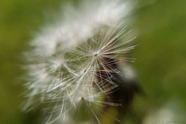 67144575 10219081923141922 3714256926960254976 N 10219081923061920