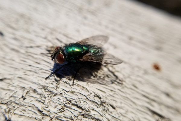 67372649 10219118519056797 713419176244412416 N 10219118519016796