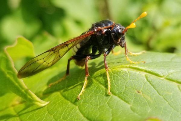 67378624 10219057070160613 352712738801188864 N 10219057070080611