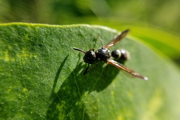 67399659 10219081922901916 2723642859239505920 N 10219081922821914