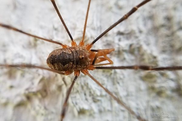 67402728 10219121133442155 552619101080518656 N 10219121133362153