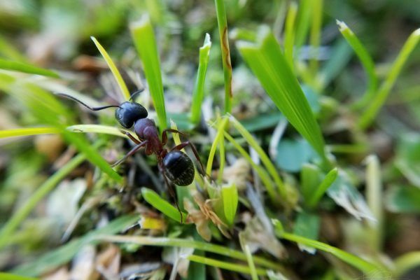 67444205 10219091508381547 1963157880882331648 N 10219091508341546