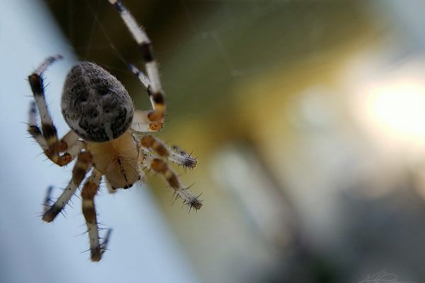 67469692 10219091498941311 758887873293320192 N 10219091498901310