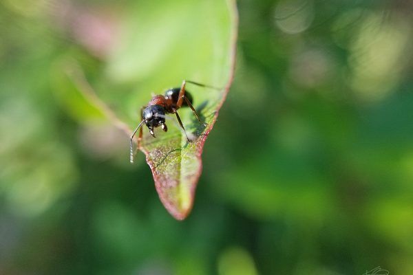 67477951 10219057065640500 5154370069878276096 N 10219057065560498