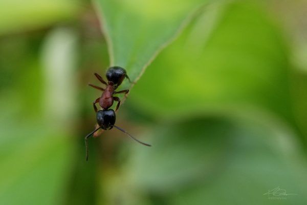 67544601 10219121134122172 4904489087345360896 N 10219121134082171