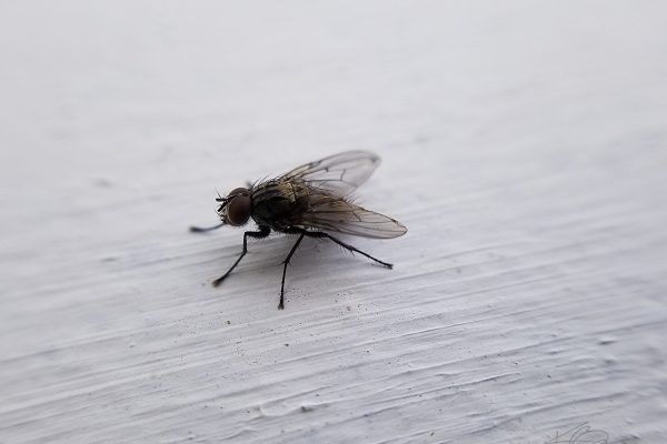 67623071 10219101349987581 7156041068532727808 N 10219101349827577