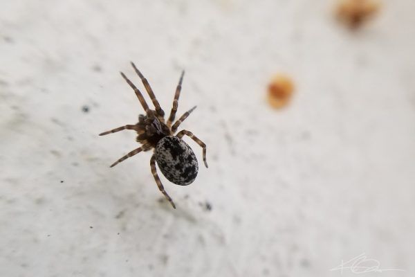 67658677 10219180614649148 6011891081145221120 N 10219180614609147