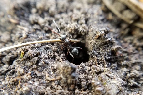 67685537 10219121134282176 1920567232828538880 N 10219121134202174