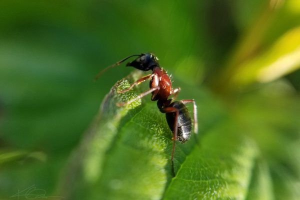 67688773 10219081923021919 1916586541174489088 N 10219081922861915