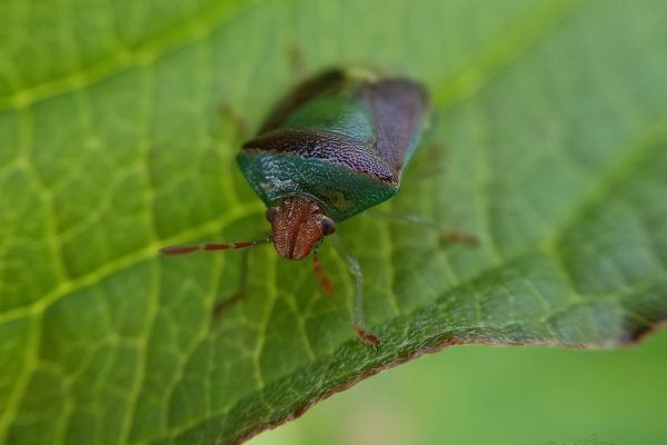 67734024 10219057069560598 6959303382800531456 N 10219057069480596