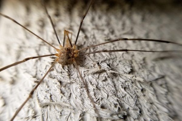 67902254 10219180616049183 993799984266608640 N 10219180615969181