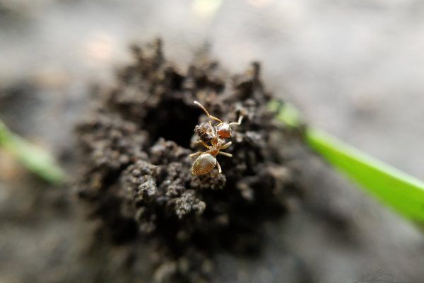 67951722 10219101350547595 5536090322011947008 N 10219101350507594