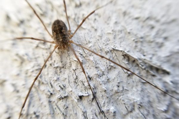 68727987 10219180615689174 5275955212434014208 N 10219180615609172