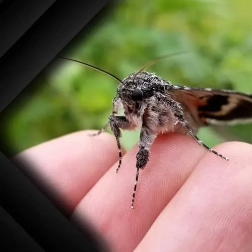 Kelly Eros - Photography