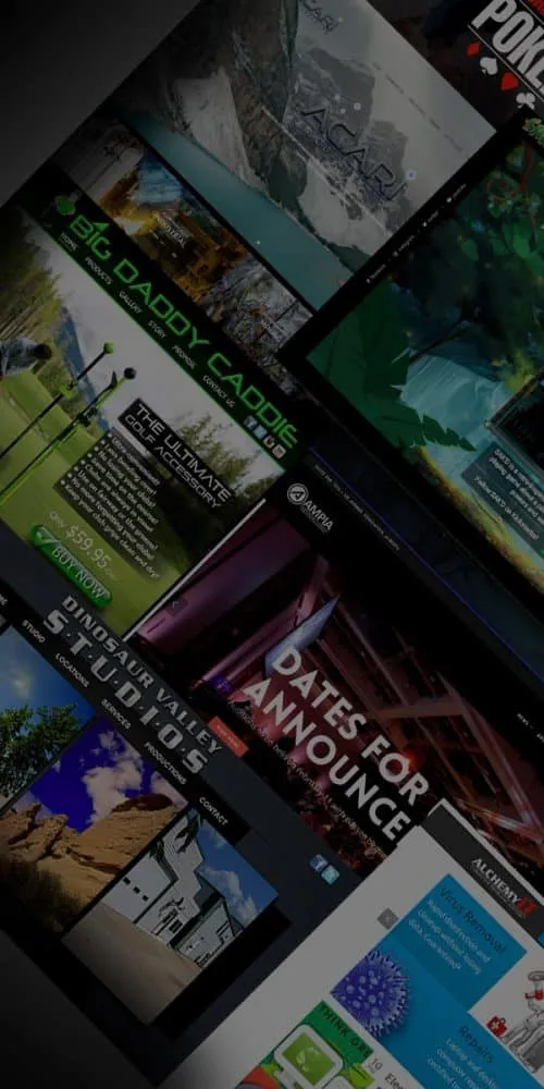 Website Development Background