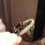 59801985 1307935302694325 2202768316710256640 N