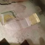 60050022 1307938116027377 7817984486208962560 N