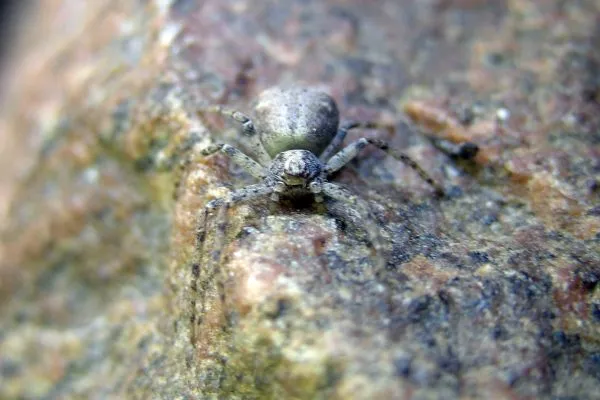 11144993 10207259848277439 2973230649873534591 O 10207259848277439