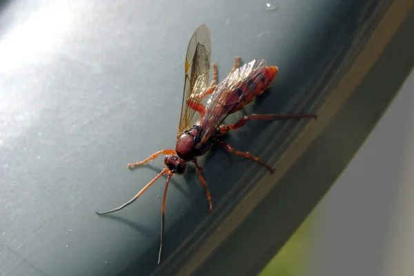 11146656 10207259865677874 4239572787741860702 O 10207259865677874