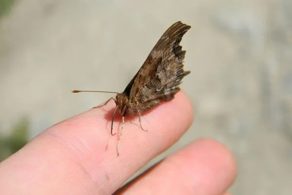 11222552 10207259794076084 3424770036387338109 O 10207259794076084